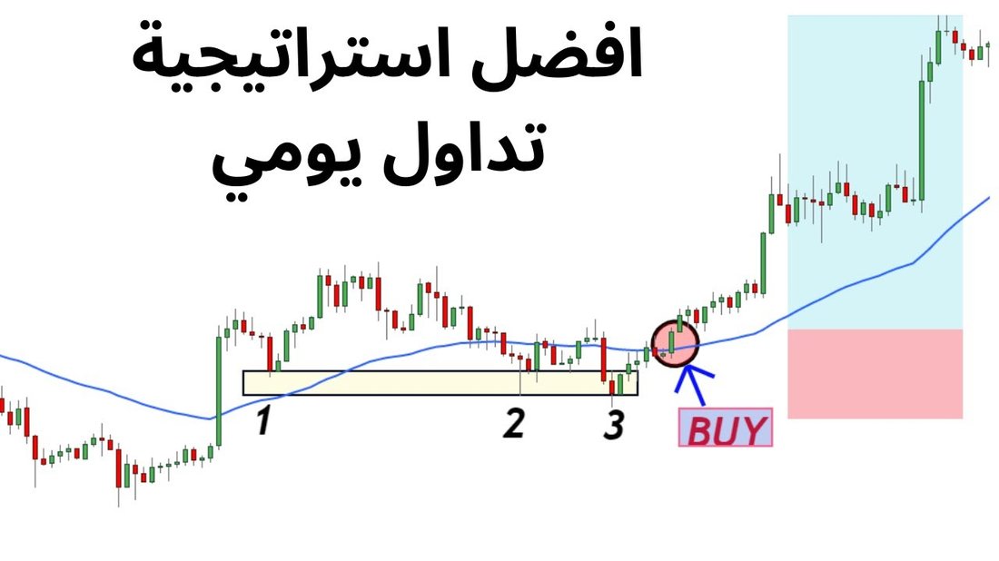 لماذا يتوقف وزنك عن النزول بعد أسبوعين؟ (دليل استكشاف الأخطاء وإصلاحها)
