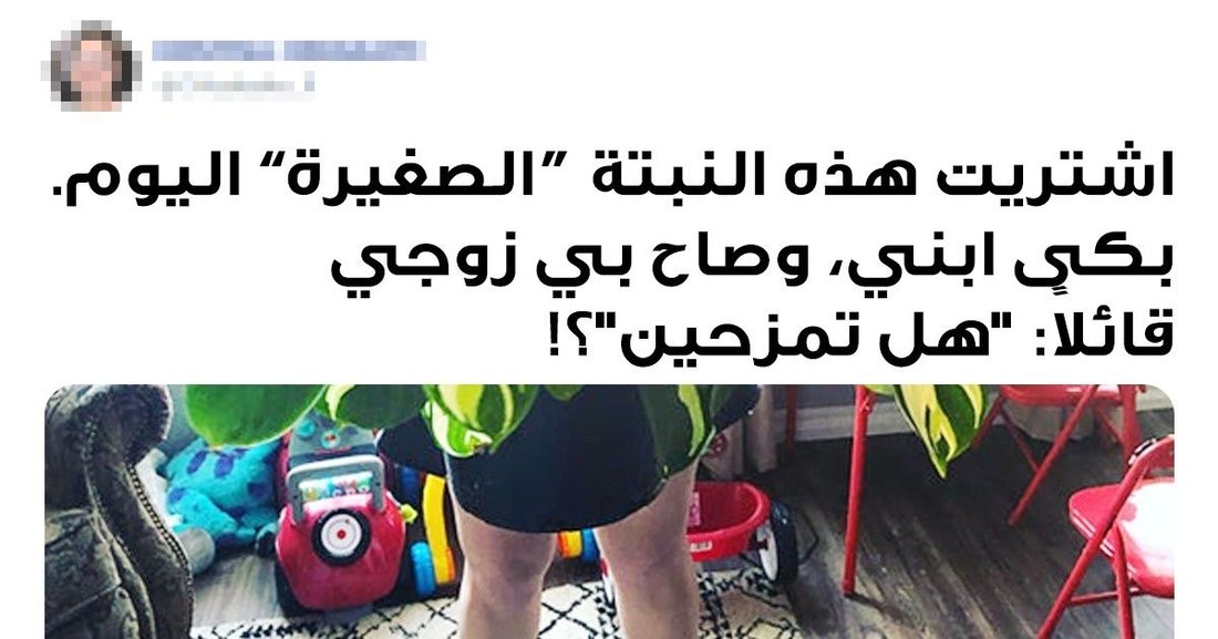 أخطاء قاتلة في تربية النباتات المنزلية يجب أن تتوقف عنها الآن