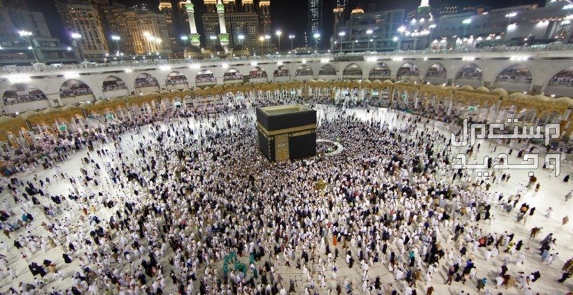خوارزمية إنستغرام 2024: الدليل الكامل لزيادة الوصول والمتابعين